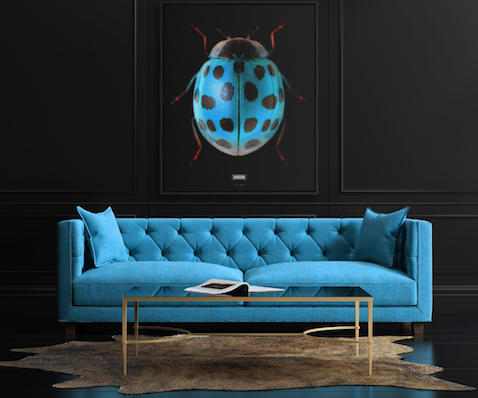 Sir LadyBug in versione Canvas da parete della collezione The Beetles su Wonderbold.com
